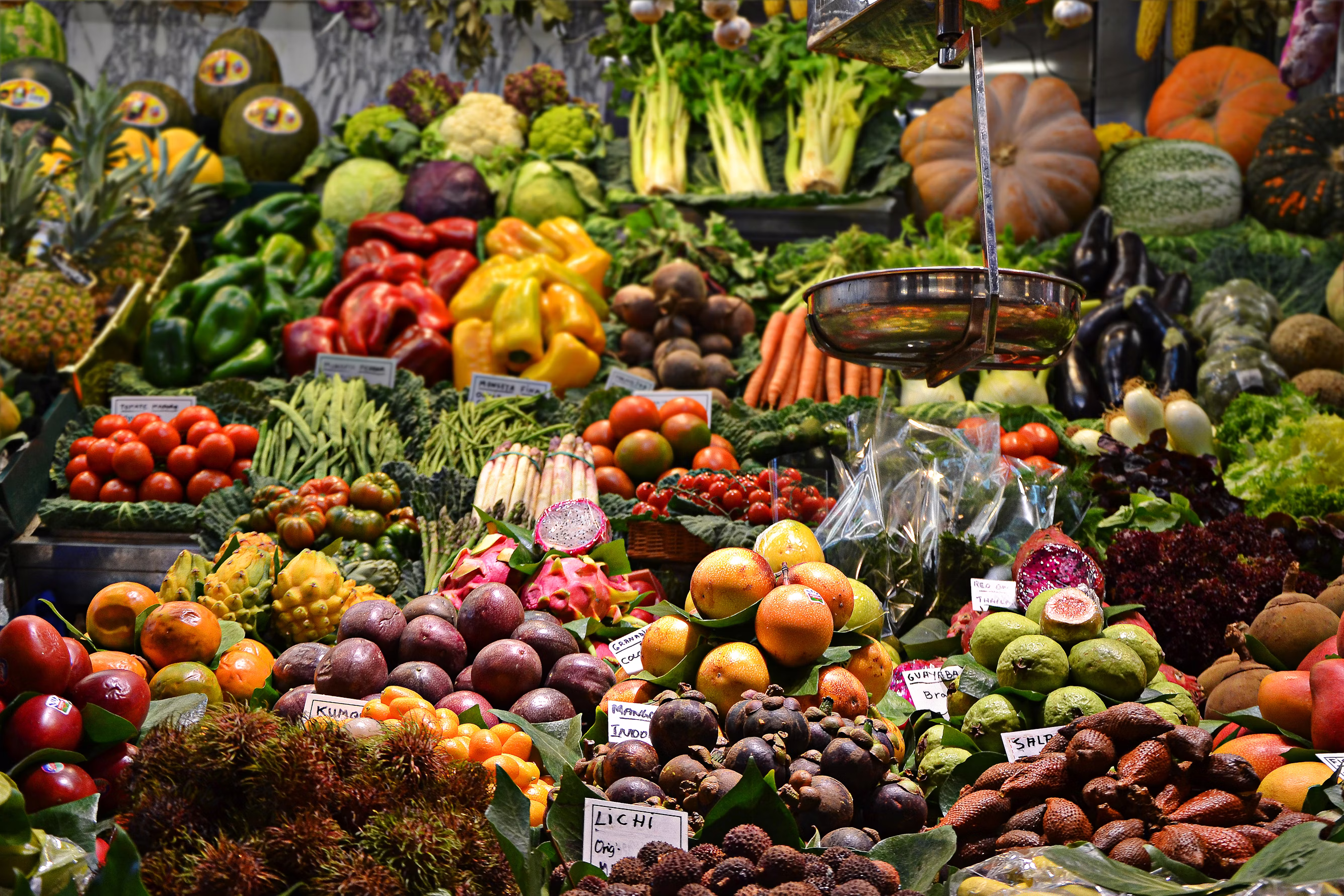 Cultivos para Venta y Exportación